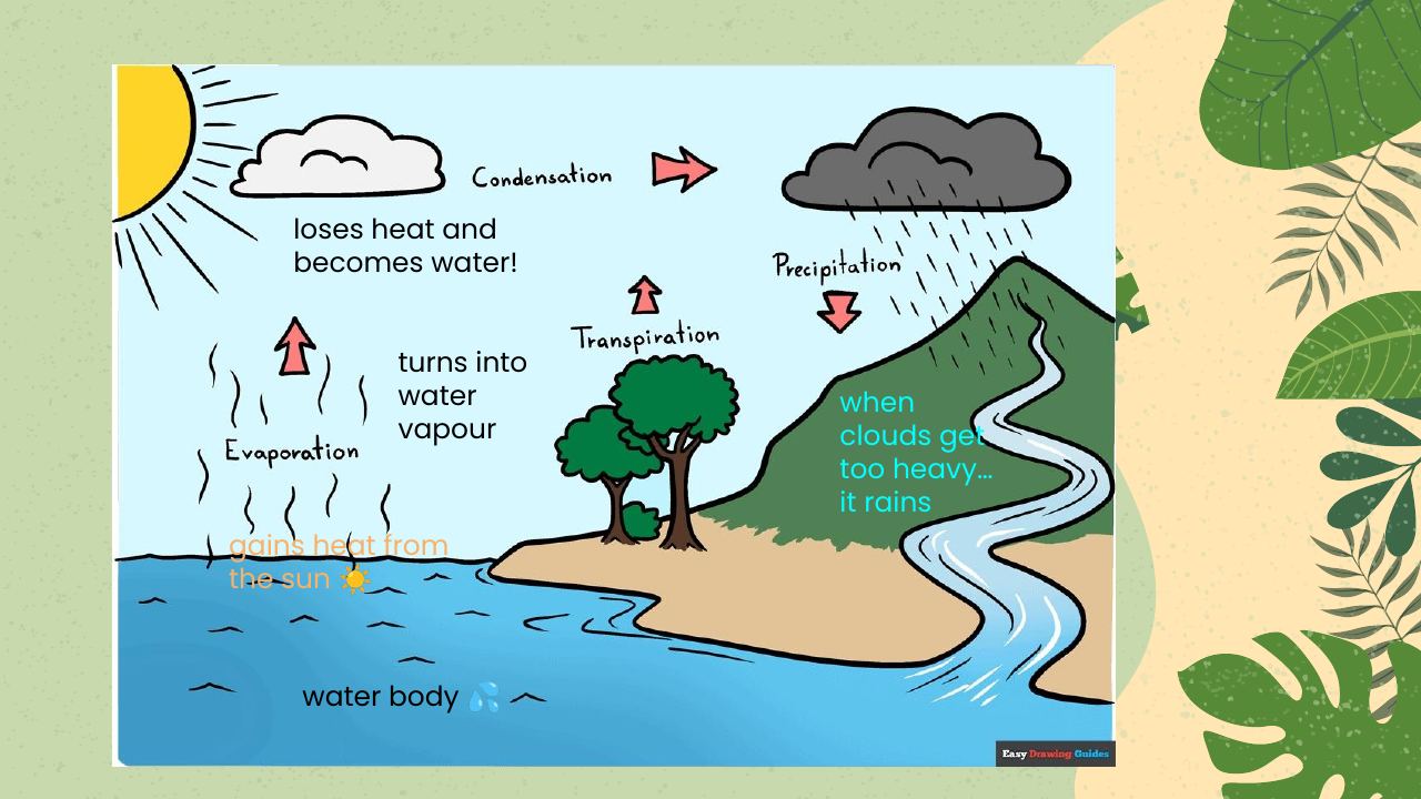 Workshop slide: The water cycle, step by step